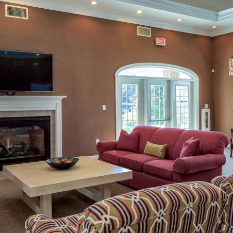 A cozy living room with red sofas, a fireplace, TV, and large windows letting in natural light.
