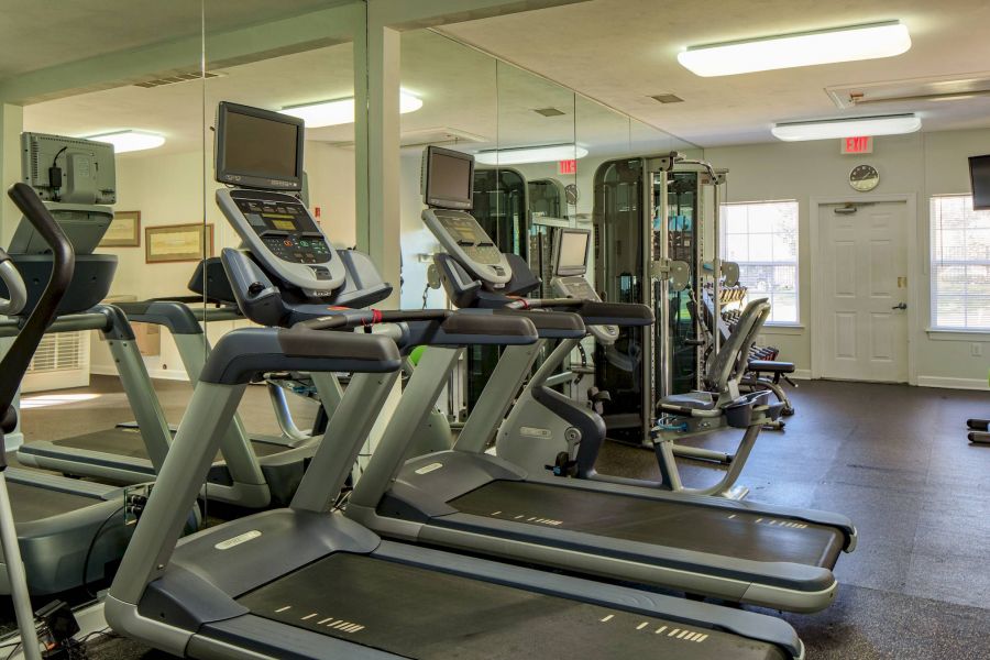 A bright gym with treadmills, exercise machines, mirrors, and large windows letting in natural light.