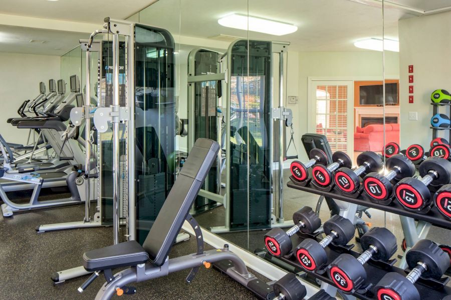 Gym with weight racks, bench, strength machines, and cardio equipment in a bright, clean room.