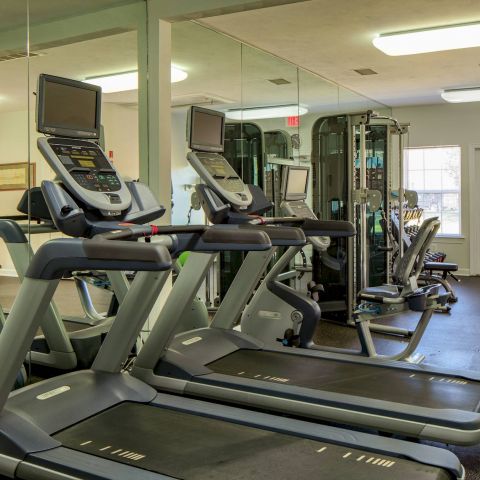 A bright gym with treadmills, exercise machines, mirrors, and large windows letting in natural light.