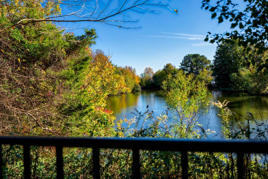 View of a peaceful pond surrounded by trees with autumn foliage under a clear blue sky.