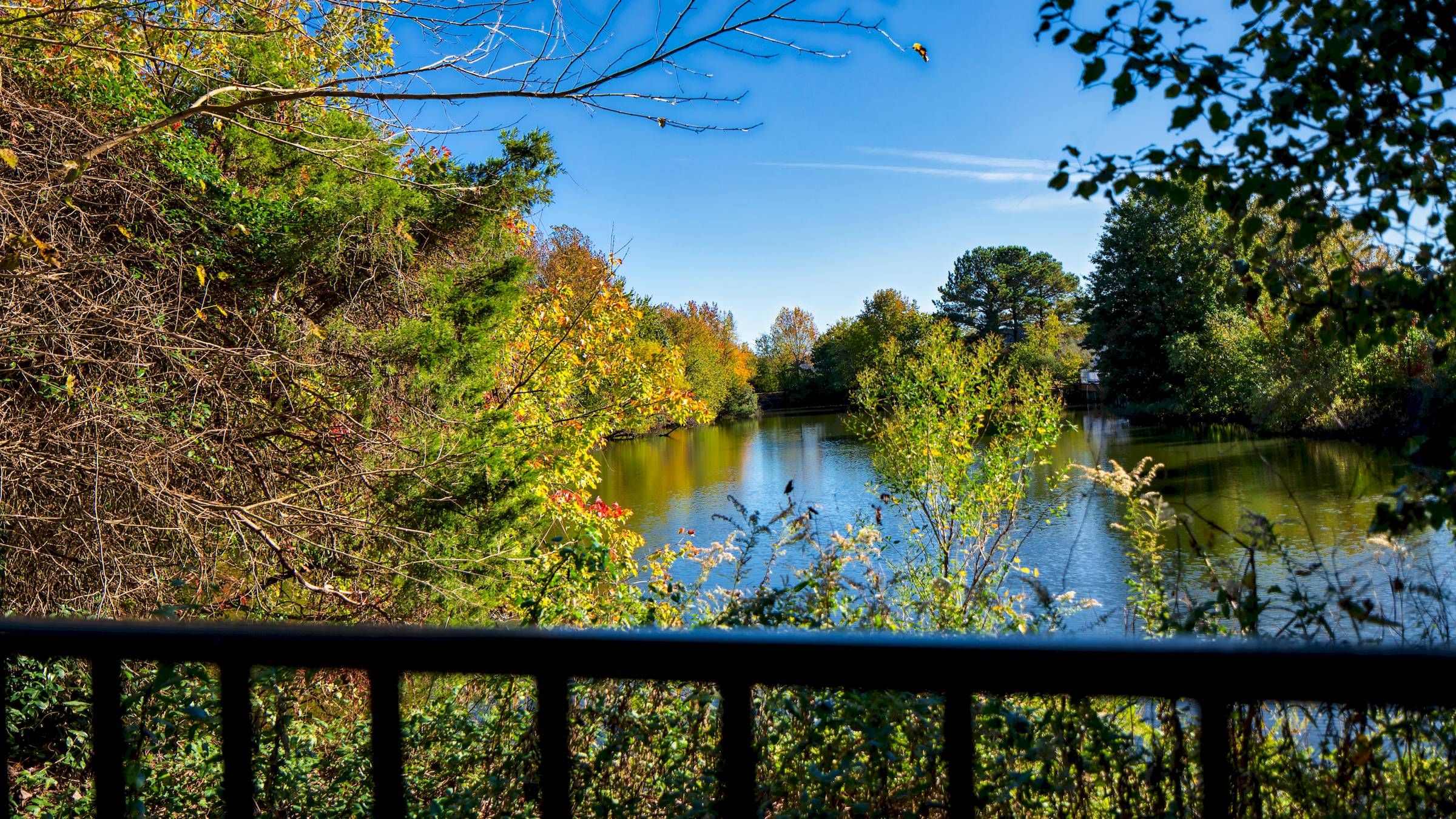 View of a peaceful pond surrounded by trees with autumn foliage under a clear blue sky.