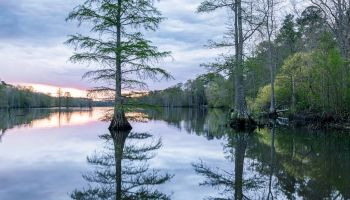 Stumpy Lake Natural Area